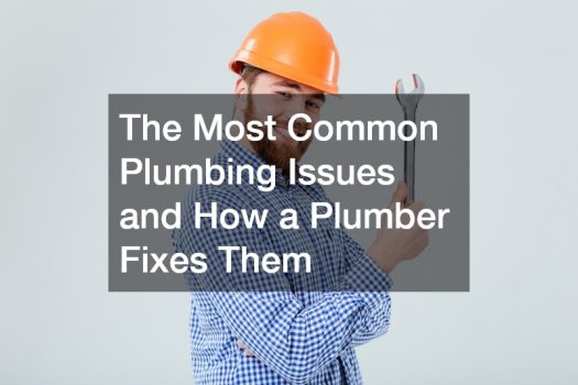 The Most Common Plumbing Issues and How a Plumber Fixes Them
