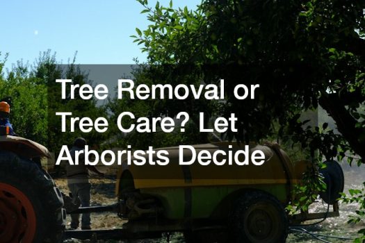 Tree Removal or Tree Care? Let Arborists Decide
