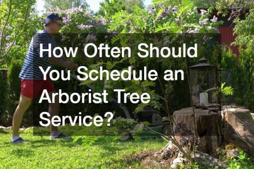 How Often Should You Schedule an Arborist Tree Service?