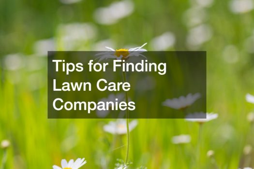 Tips for Finding Lawn Care Companies
